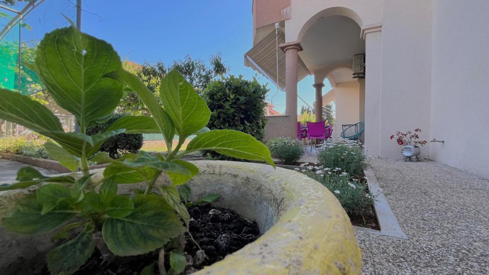 Apartments Villa Rotim Задар Экстерьер фото